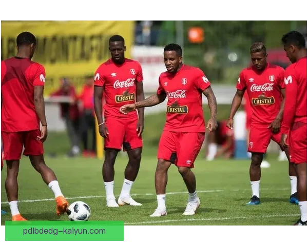 秘鲁队战术执行精细，表现逐渐稳健，备受关注。