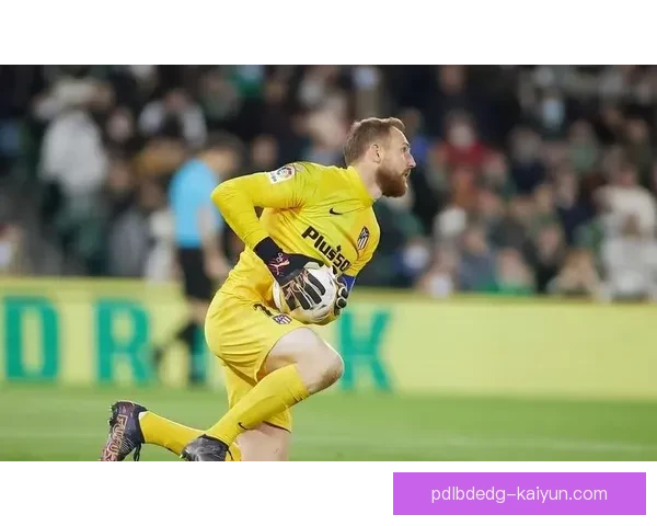 奥布拉克表现稳健，扑救反应训练效果显著