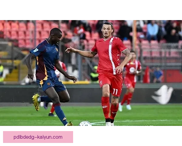 维罗纳球员表现稳健，持续提升球队竞争力分析